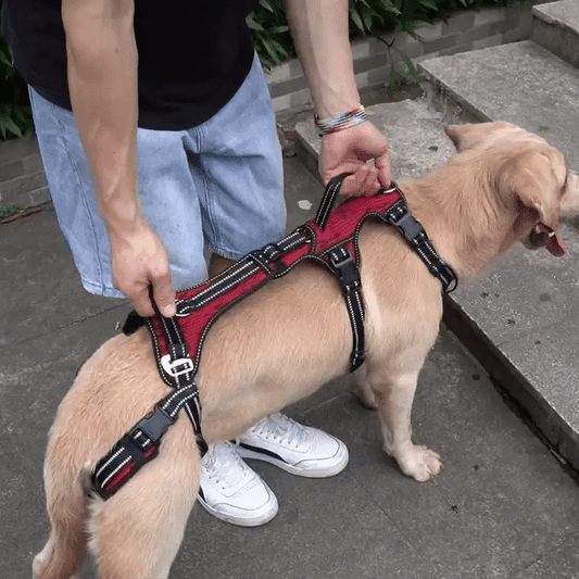 "Up-You-Get" Lift Harness