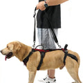 Support Strap
