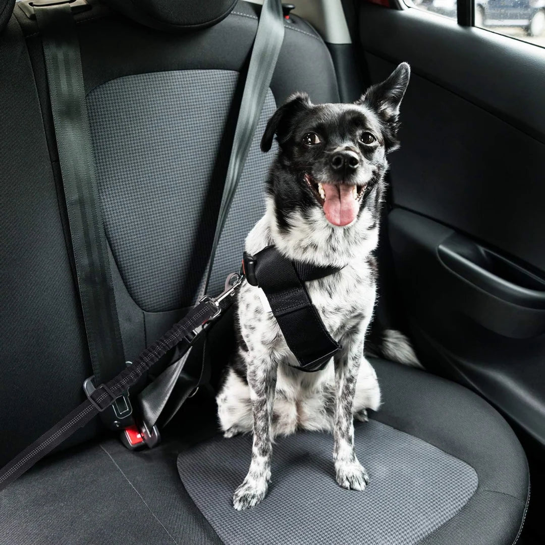 B90 PRO Dog Seatbelt