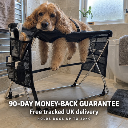 B45 PRO | The Hands-Free Dog Bath & Grooming Table
