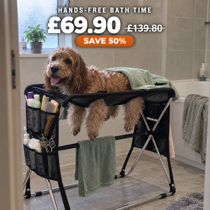 B45 PRO | The Hands-Free Dog Bath & Grooming Table