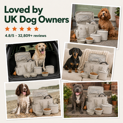 UK dog owners with the D40 PRO travel bag