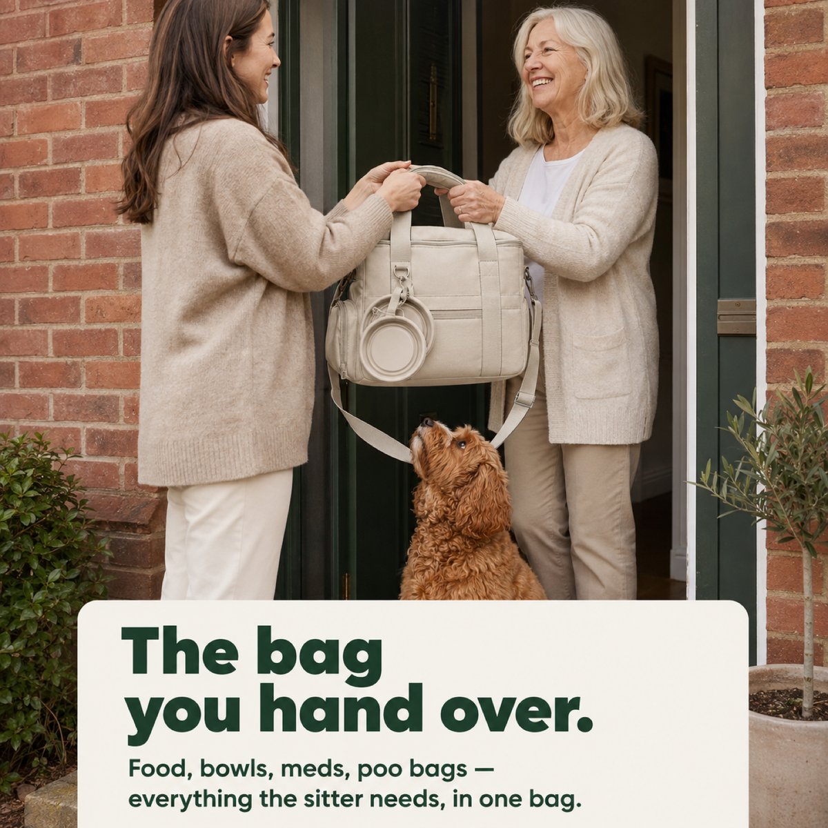 Handing the packed D40 PRO travel bag over to the dog sitter