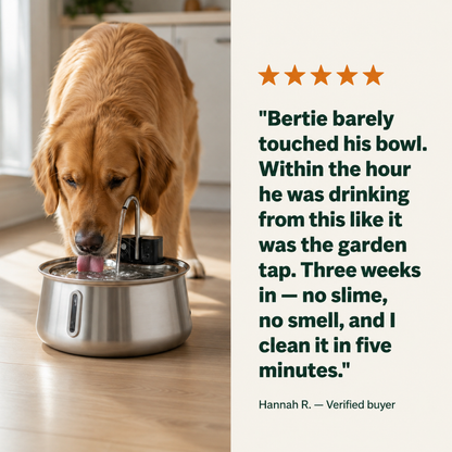 Batch 1 — customer review visual