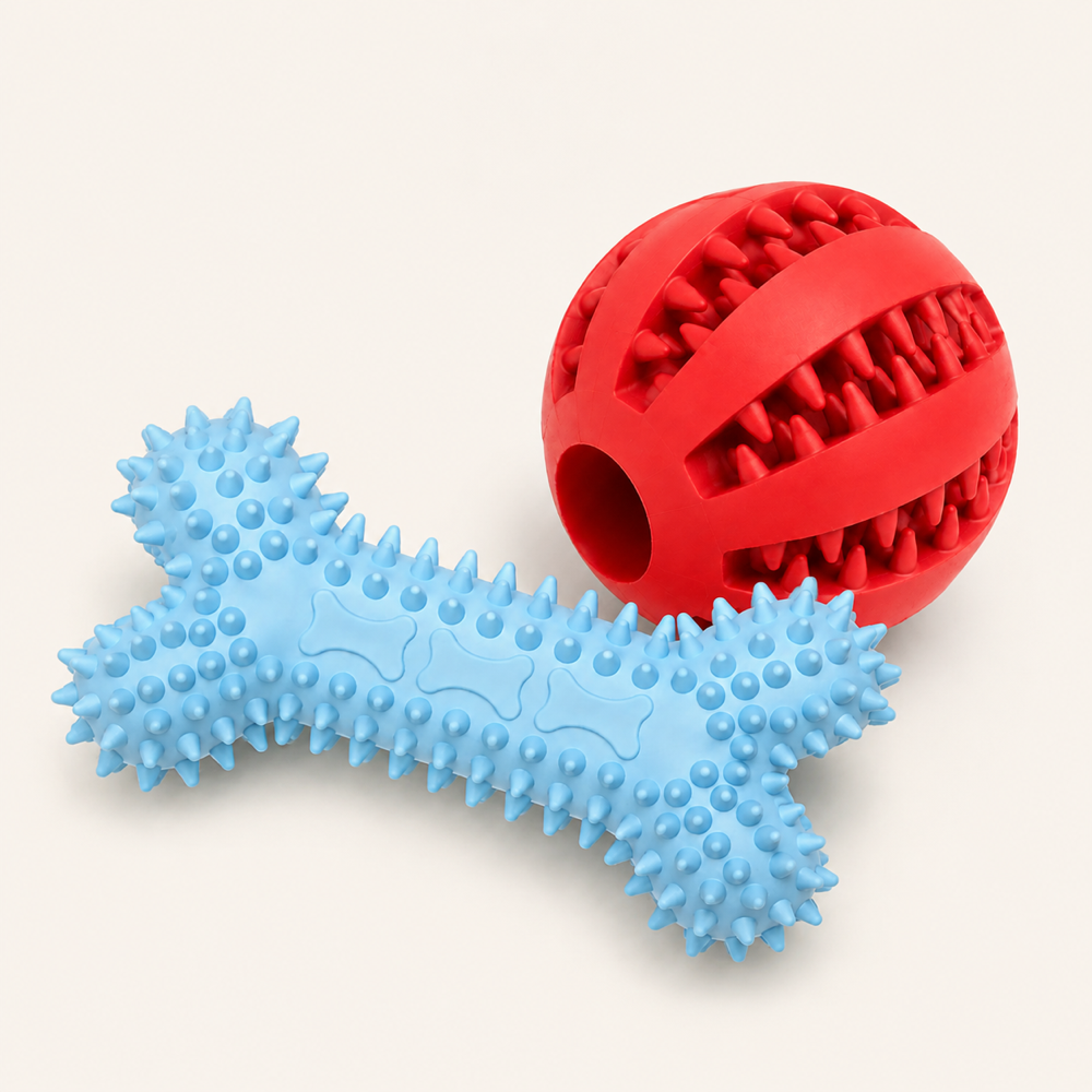 2 free dog toys: blue chew bone and red dental ball