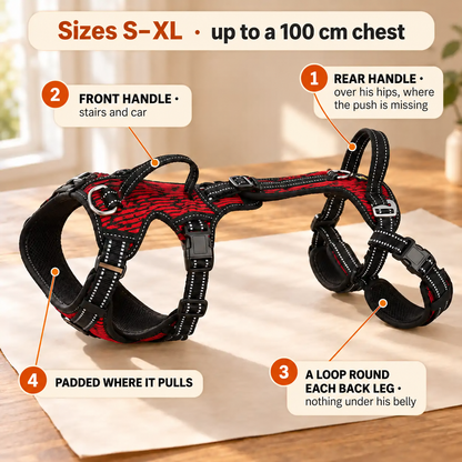 "Up-You-Get" Lift Harness