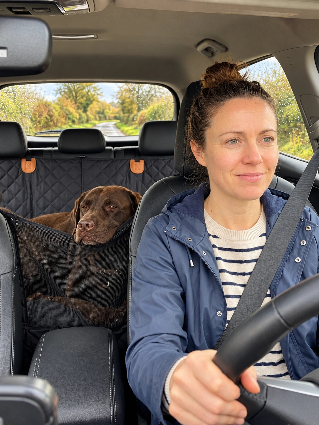 Dog resting comfortably in the back seat while its owner drives