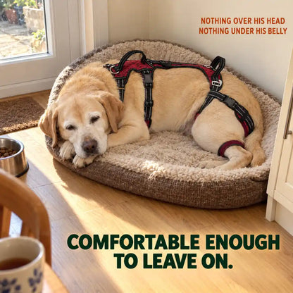 "Up-You-Get" Lift Harness