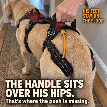 "Up-You-Get" Lift Harness