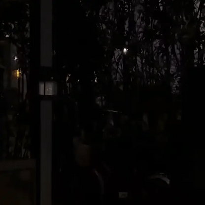 L85 PRO | The Wire-Free Guardian Lantern